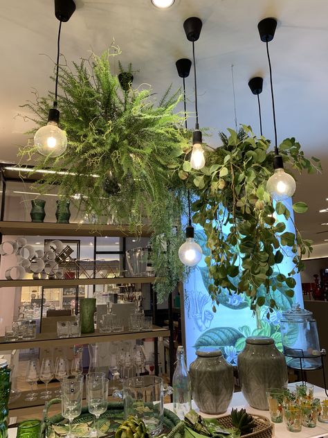 Plants With Lights, Home Plant Ideas, Loft Plants, Botanical Cafe, Plant Chandelier, Plants Wall Decor, Bohemian Dining Room Decor, Lights Over Island, Tall Indoor Plants