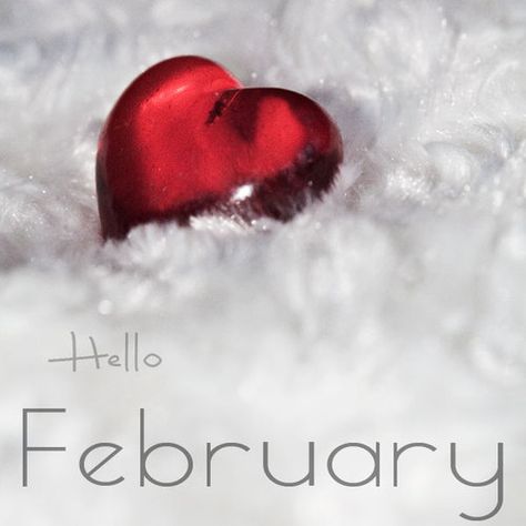 ✽Delightful✾ — ~ February ~ New Month Greetings, February Hello, Hello February Quotes, February Images, New Month Wishes, February Quotes, New Month Quotes, February Wallpaper, February Month