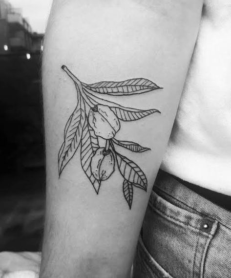 Walnut Tattoo, Walnut Tree, Tree Tattoo, Tattoos And Piercings, New Tattoos, Cool Tattoos, Tatting, Tattoo Ideas, Piercings