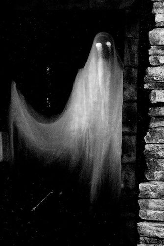 2015 Rutherford Manor Haunt (Halloween Forum member Trex) ethereal ghost Halloween Screen Savers, Spooky Paintings, Ghostly Apparitions, Haunted Images, Real Haunted Houses, Halloween Forum, Yard Haunt, Real Ghosts, Ange Demon