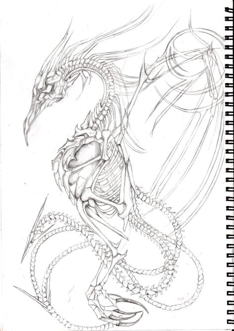 phoenix skeleton by disresponsible.deviantart.com on @DeviantArt Skeleton Pheonix Tattoo, Phoenix Skull Tattoo, Phoenix Skeleton Tattoo, Dragon Skeleton Drawing, Phoenix Skeleton, Skeleton Dragon Tattoo, Dragon Skeleton Tattoo, Argus Panoptes, Phoenix Drawing