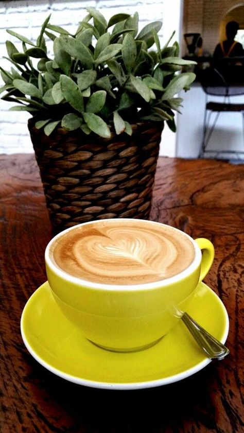 "Cappuccino", Trafique, Jakarta | Xícara de café, Café, Café e livros Kopi Aesthetic, Sicily Food, Cappuccino Art, Coffee Vs Tea, Caffeine Drinks, Coffee Flower, Coffee Pictures, Coffee Heart, Coffee Corner