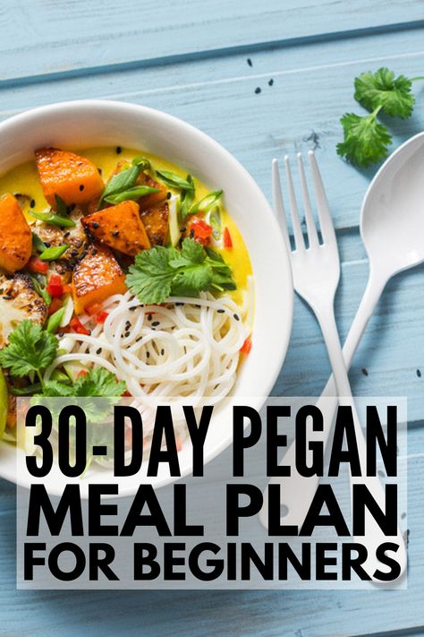 Pegan Diet Recipes Breakfast, Pegan Diet Recipes, Diet Recipes Breakfast, Pegan Diet, Beginners Recipes, Pegan Recipes, Breakfast Low Carb, Keto Diet Breakfast, Beginner Meal Planning