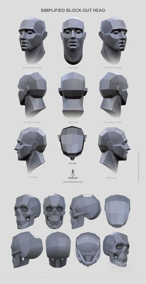 Skull Planes Anatomy, Shading Head Reference, Head Planes Anatomy, Face Planes Reference, Planes Of The Head Reference, Plans Of The Face, Skull Proportions Drawing, Anatomy For Sculptors Face, Head Anatomy Sketch