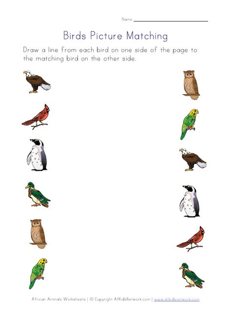 Bird worksheets for several different skills Birds For Kids, Matching Worksheets, Bookmarks Kids, Bird Theme, Preschool Theme, Color Worksheets, Bird Pictures, Activity Sheets, Learn French