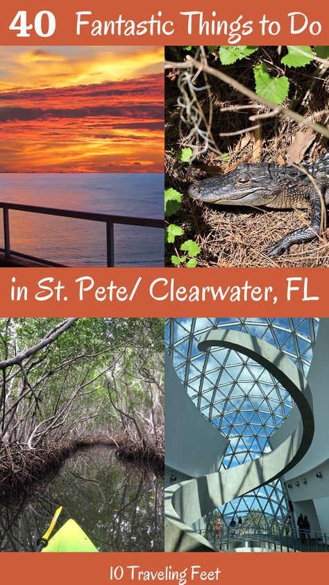 Things To Do In St Petersburg Florida, Florida Road Trip, Pinellas County Florida, Florida Keys Road Trip, Florida Trip, Clearwater Florida, Things To Do With Kids, St Petersburg Fl, St Petersburg Florida