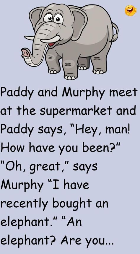 Paddy and Murphy meet at the supermarket and Paddy says, “Hey, man! How have you been?”“Oh, great,” says Murphy “I have recently bought an elephant. ”... #funny #joke #story Paddy And Murphy Jokes, Paddy Jokes, Elephant Funny, Oh Great, High Jokes, Daily Jokes, Clean Jokes, Hey Man, Jokes And Riddles