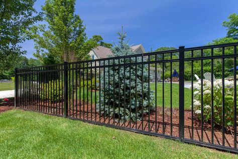 Tall Black Fence, Metal Backyard Fence, Backyard Metal Fence Ideas, Black Aluminum Fence Backyard, Black Fence Around Pool, Black Metal Fencing, Black Metal Fence Ideas, Black Backyard Fence, Black Aluminum Fence Landscaping