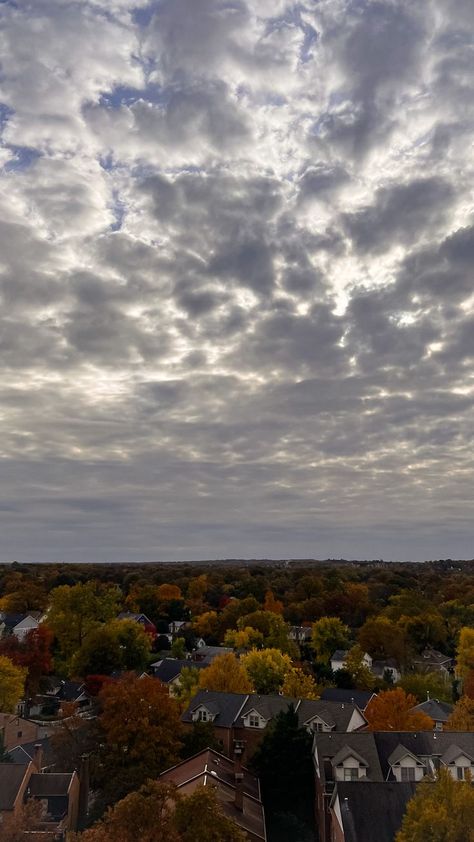 Fall Foliage Wallpaper, Fall Foliage Photography, Foliage Photography, Foliage Wallpaper, Arlington Virginia, Arlington Va, University Life, Rooftop Deck, Rooftop Terrace