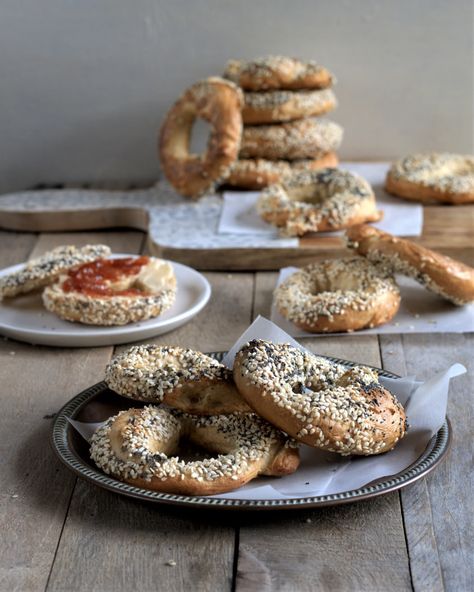 montreal bagels | DAVE BAKES Montreal Bagels, Quebec Province, New York Bagel, Breakfast Baking, Bagel Recipe, Malted Milk, Breakfast Bake, Baking Sheets, Powdered Milk