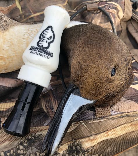 Goose Blind, Hunting Drawings, Carolina Homes, Gamebirds, Archie Bunker, Hunting Stuff, Duck Hunting Gear, Waterfowl Hunting, Duck Calls