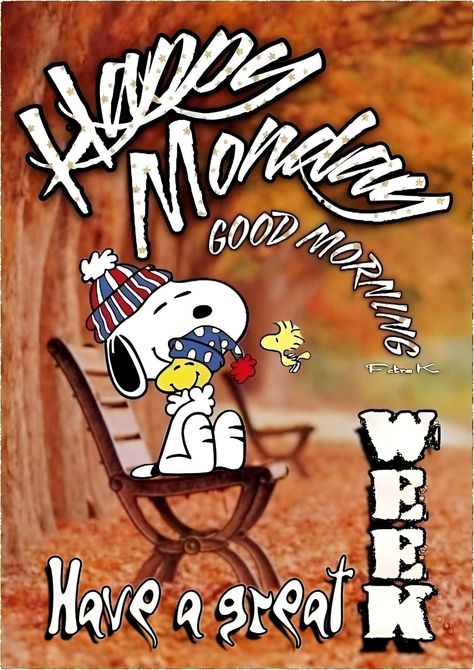 Snoopy Happy Monday, Snoopy Drawing, Special Friendship Quotes, Charlie Brown Quotes, Snoopy Tattoo, Monday Morning Quotes, Good Morning Snoopy, Monday Monday, Good Morning Happy Monday