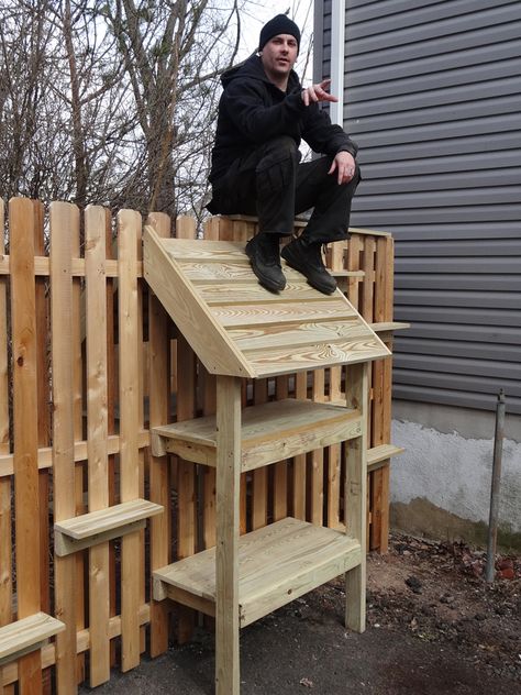 Diy Cat Feeding Station, Outside Cat House, Feral Cat Shelter, Outdoor Cat Shelter, Feral Cat House, Cat Feeding Station, Backyard Sanctuary, Cat Patio, Feral Cat