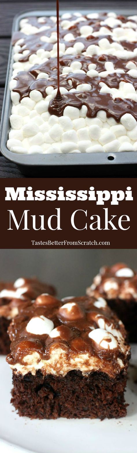 Mississippi Mud Cake--homemade chocolate cake with marshmallows and warm chocolate frosting poured on top! BEST CAKE EVER! Chocolate Cake With Marshmallows, Cake With Marshmallows, Chocolate Marshmallow Cake, Mississippi Mud Cake, Sweets Chocolate, Best Cake Ever, Mississippi Mud, Homemade Chocolate Cake, Torte Cupcake