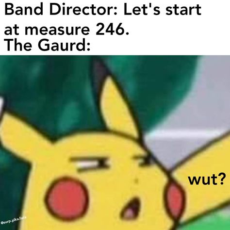 Colour Guard Memes, Color Guard Memes Funny, Color Guard Wallpaper, Colorguard Memes Funny, Colorguard Aesthetic, Color Guard Funny, Color Guard Memes, Color Guard Quotes, Marching Band Jokes