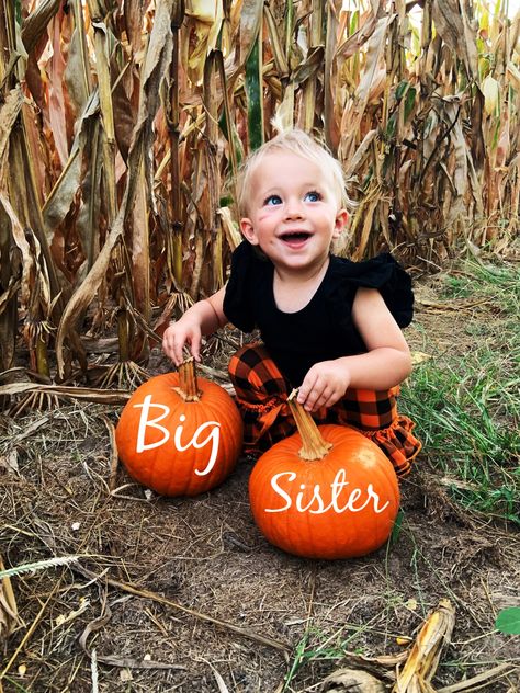 Big Sister Pumpkin Announcement, Big Sister Fall Announcement, Thanksgiving Sibling Announcement, October Pregnancy Announcement Baby 2, Halloween Big Sister Announcement, Fall Big Sister Announcement, Cute Fall Pregnancy Announcements, Pumpkin Baby Announcement With Sibling, Pregnancy Announcement Fall Ideas