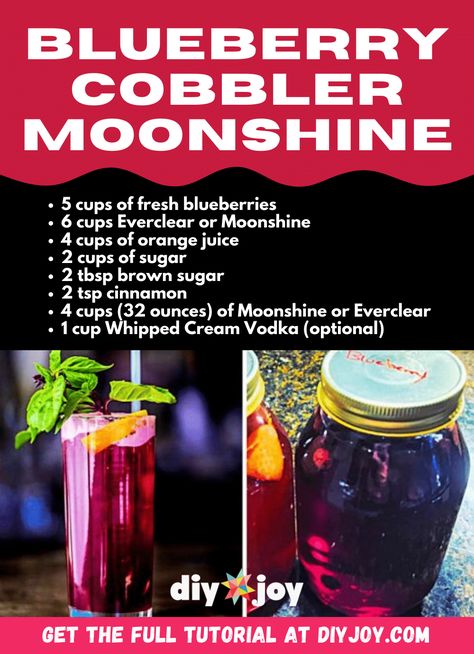 Blueberry Pie Moonshine Recipe, Blueberry Moonshine, Flavored Moonshine Recipes, Moonshine Drink Recipes, Blueberry Pies, Homemade Moonshine, Moonshine Recipe, Whipped Cream Vodka, Brewing Recipes