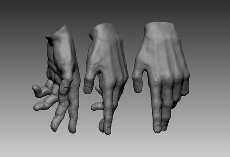 Strong Hand Reference, Teaching Sculpture, Zbrush Anatomy, Hand Anatomy, Anatomy Sculpture, Human Sculpture, Human Anatomy Drawing, Drawing Course, Hand Drawing Reference