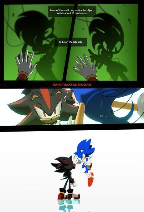 Sonic Shadow, Sonamy Comic, Sonic Heroes, Lego Ninjago Movie, Sonic Characters, Sonic Funny, Sonic Fan Characters, Mahō Shōjo, Sonic Franchise