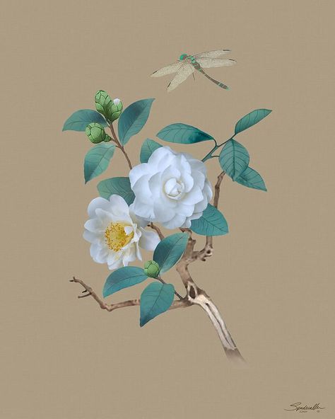 Camellia Tree, Japanese Camellia, Camellia Flowers, White Camellia, Bee Tattoo, Camellia Flower, Floral Pattern Design, Flower Tea, Media Images