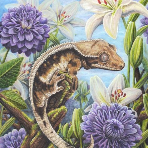 Leopard Gecko Painting, Cavas Art, Reptile Art, Crested Geckos, White Lilly, Blue Drawings, Pencil Artwork, Flowers Gardening, Colored Pencil Artwork