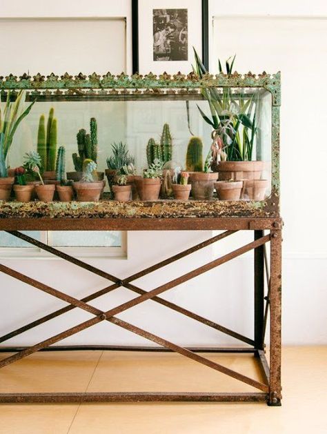 Repurposed Fish Tank - Little Vintage Cottage Shed Inspiration, Indoor Gardens, Planter Ideas, Décor Boho, Cactus Y Suculentas, Boho Dekor, Succulents Garden, Cacti And Succulents, Indoor Garden