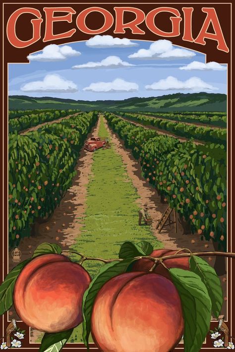 Family Tree Graphic, Peach Orchard, Perfume Label, State Posters, Peach Wallpaper, Tree Graphic, Scene Art, Peach Trees, Free Canvas