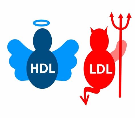 Hdl Ldl, Low Estrogen Symptoms, Face Pores, High Cholesterol Levels, Too Much Estrogen, Low Estrogen, Hdl Cholesterol, Lower Your Cholesterol, Estrogen Dominance