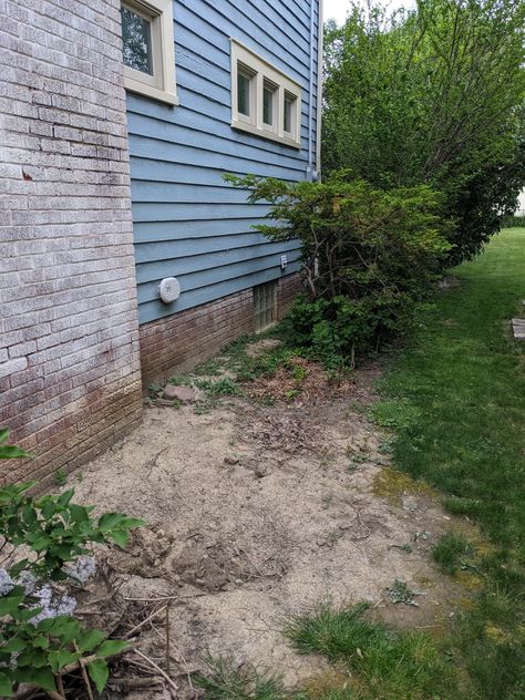 What native bushes should you plant next to your home’s foundation in Northeast Ohio? Native Foundation Planting, Ohio Native Plants Landscaping, Native Plant Landscape, Foundation Planting, Northeast Ohio, Native Garden, Perfect Garden, Small Trees, Native Plants