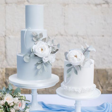 Cake Baking Enthusiast on Instagram: “This one looks absolutely stunning 😍🦋⁠⠀⁠ Credit: @poppypickeringcakes⁠ Follow @bakingist for more⠀⁣⠀⠀⁠ •⠀⠀⁠ •⠀⠀⁠ •⠀⠀⁠ •⠀⠀⁠ •⠀⠀⁠ •⠀ ⠀⠀⁠…” Wedding Cake Designs Blue, Powder Blue Wedding, French Blue Wedding, 2 Tier Wedding Cakes, The Orangery, Elopement Shoot, Blue White Weddings, Wedding Cakes Elegant, Vintage Cakes