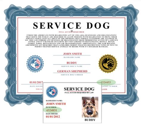 United Service Dog National Registry | Service Dog Registration Lookup Dog Certificate, Service Dogs Breeds, Dog Birth, Meds For Dogs, Dog Status, Service Dogs Gear, Service Dog Training, Service Dog Vests, Emotional Support Dog