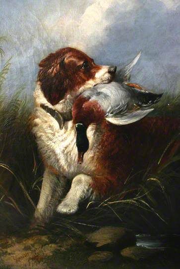 Dog and Mallard: Waiting for Good Bag, 1865, by Richard Ansdell Dog Words, Hunting Art, Sport Art, Canine Art, Man And Dog, Wildlife Artists, Dog Wallpaper, Art Uk, Game Artwork