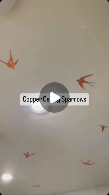 Silje MB on Instagram: "🪶🪶🪶I was inspired by the sparrow wallpaper by Lulu and Georgia to have sparrows on my hallway ceiling. I wanted to recreate the look on a budget and used a copper sheet I already had on hand.   To get a 3D look from below, I glued the sparrows with the scored side facing the ceiling.  I like that the reflections and different shapes makes this installation dynamic. And if I one day change my mind they can easily be removed. 😄🪶🪶🪶 ——————————————————— Background: Copper sheet Medium: washable school glue, nail, scissors Inspiration: Sparrow wallpaper ——————————————————— . . #diy #craftsbysilje #ceiling #embellishment  #doityourself #youcandoit #copper #bird #sparrow #sheet #luluandgeorgia" Sparrow Wallpaper, Bird Sparrow, Hallway Ceiling, Wallpaper Diy, Change My Mind, Nail Scissors, I Like That, School Glue, Copper Sheets