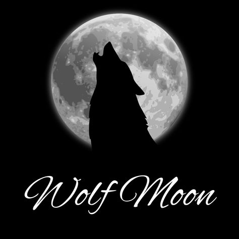 Moon In Chinese, January Magick, January Full Moon, Moon Capricorn, Protecting Your Energy, Three Wolf Moon, Full Moon Spells, Moon Names, Capricorn Season