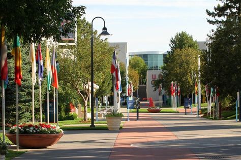 Colorado Springs With Kids, Olympic Training Center, Things To Do In Colorado, Air Force Planes, Olympic Training, Project Red, Military Museum, Diagram Architecture, Good Ole