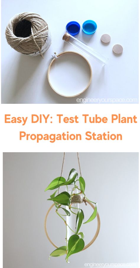 Looking for an easy DIY project or a great indoor plant idea? Try making this Test Tube Propagation Station. #easydiy #indoorplants #indoorgarden Hanging Test Tube Plants Diy, House Plant Diy Crafts, Easy Plant Crafts, Test Tube Propagation Wall Diy, Wire Propagation Station, Propagation Ideas Diy, Diy Hanging Propagation, Test Tube Holder Diy, Macrame Test Tube Holder