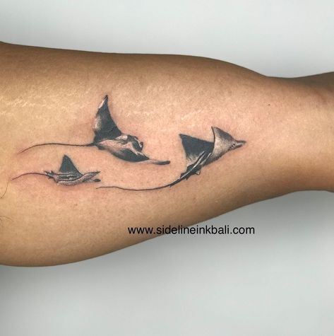 Manta Ray Tattoo Men, Small Manta Ray Tattoo, Lanzarote Tattoo, Manta Ray Tattoo Design, Mantaray Tattoo, Hawaiian Turtle Tattoos, Manta Ray Tattoo, Stingray Tattoo, Ray Tattoo