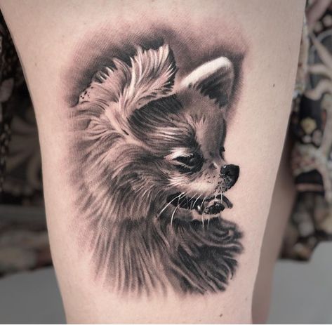 20 Best Pomeranian Tattoo Ideas and Designs Pomchi Dog Tattoo, Pomeranian Dog Tattoo, Pomeranian Tattoo Outline, Pomeranian Tattoo, Dog Tattoos Pomeranian, Japanese Spitz Tattoo, Dog Memorial Tattoos, Gloomy Day, Memorial Tattoos