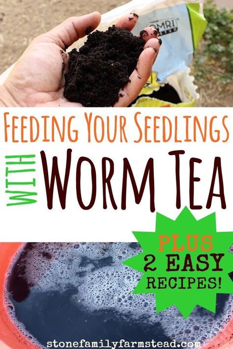 Vermicomposting Worm Farm, Fairy Garden Pictures, Worm Tea, Worm Castings Tea, Garden Stage, Worm Farming, Compost Container, Worm Castings, Herb Garden In Kitchen