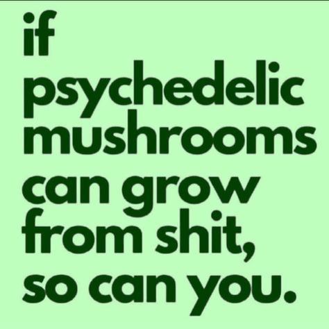 Magic Shroom Quotes, Magic Mushroom Quotes, Mushroom Sayings, Sage Character, Mushroom Quotes, Trippy Quotes, Mushroom Party, Cheeky Quotes, Big Brain