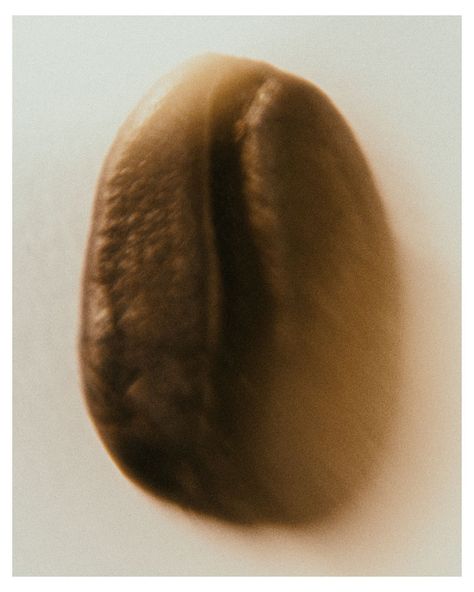 coffee bean for @origins with @betimbal Coffee Bean Aesthetic, Coffee Bean Photography, Coffee Beans Aesthetic, Coffee Beans Photography, Aesthetic Photography, Coffee Beans, Coffee, The Originals