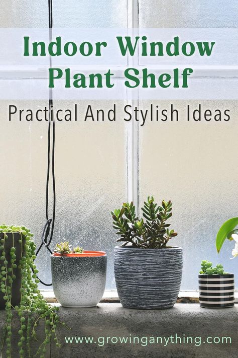 21 Indoor Window Plant Shelf: Practical and Stylish Ideas House Plant Window Display, Office Window Ledge Decor, Plants In Window Ideas Living Room, Window Ledge Plant Shelf, Plant Shelf In Front Of Window, Kitchen Plant Window, Window Sill Plant Shelf, Window Ledge Decor, Window Shelves For Plants