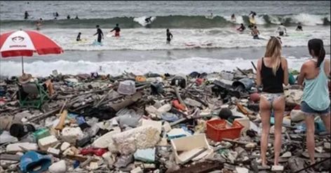 15 Sobering Photos that Prove Humanity has Reached the Peak Of Indifference : Family Life Goals Beach Pollution, Save Our Earth, Environmental Degradation, Natural Ecosystem, Lewis Carroll, Us Beaches, Environmental Issues, Ocean Animals, The Peak