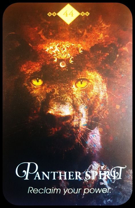 Spirit Animal Oracle ~Collette Baron Reid ~ Panther Spirit Reclaim your Power 😇 Panther Spirit, Scorpio Personality, Reclaim Your Power, Spirit Animal Totem, Animal Spirit Guide, Angel Oracle Cards, Animal Spirit Guides, Brand Archetypes, Angel Guide