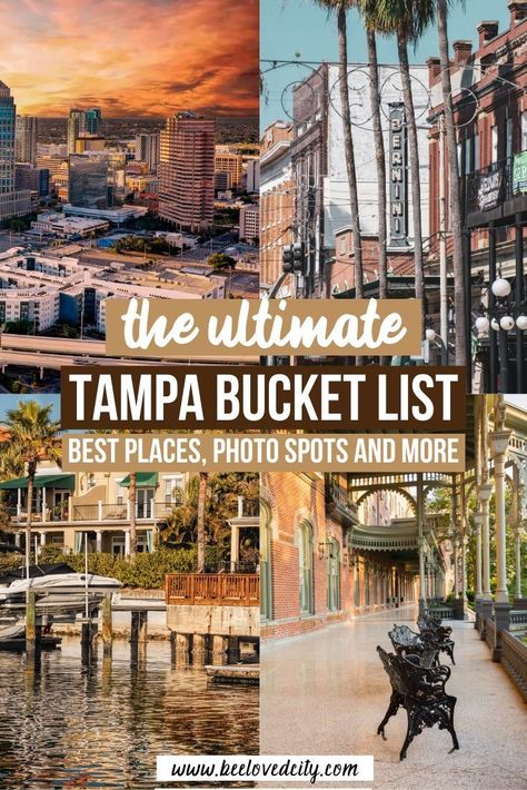 Macdill Afb Tampa Florida, Things To Do Near Tampa Florida, Free Things To Do In Tampa Florida, Tampa Things To Do, Busch Gardens Tampa Outfit, Things To Do In Tampa Florida, Tampa Florida Things To Do In, Tampa Outfits, Macdill Afb