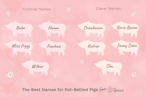 Find the perfect name for your pot-bellied pig from this list and then learn how to teach your pig its name. Pig Names, Pot Bellied Pig, Green Dog Collar, Dog Collar Charms, Pot Belly Pigs, Luxury Dog Collars, Pet Name Tags, Dog Collar With Name, Funny Pigs