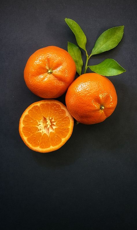 Citrus of Rederberg Estates Tangerine Still Life Photography, Citrus Still Life Photography, Fruit Still Life Photography Simple, Orange Still Life Reference, Oranges Reference Photo, Oranges Still Life Photography, Citrus Still Life, Orange Reference Photo, Fruit Reference Photos For Artists