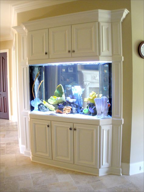 Saltwater Built In Fish Aquarium @BluePlanetAquarium Fish Tank Cabinet Ideas, Pictus Catfish, Fish Aquarium Ideas, Blue Planet Aquarium, Dividing Rooms, Fish Tank Cabinets, Fish Tank Wall, Aquarium Stands, Wall Aquarium