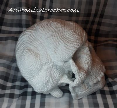 Adventures into Anatomical Crochet: Anatomically correct skull Crochet Bones Free Pattern, Crochet Bone Pattern Free, Skull Crochet Pattern Free, Skeleton Crochet Pattern, Crochet Bone, Anatomical Crochet, Crochet Skeleton, Anatomical Skeleton, Life Size Skeleton