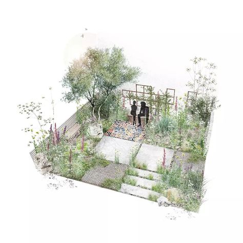 Garden • Instagram Cornus Sanguinea, Woodland Aesthetic, Betula Nigra, Steve Williams, Healing Garden, Bristol Uk, Garden Design Plans, Lush Green, Small Garden